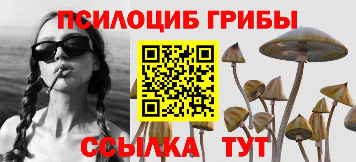 Дедовск  Галлюциногенные грибы Cubensis  Вход с VPN 